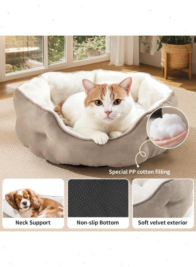 يواوليتي سرير قطط، سرير حيوانات أليفة، أريكة تقويمية، فراش قابل للغسل ومهدئ للحيوانات الأليفة، مريح للغاية ومقاوم للانزلاق، قاعدة مقاومة للانزلاق للقطط والكلاب الصغيرة والجراء والقطط الصغيرة - Image 2